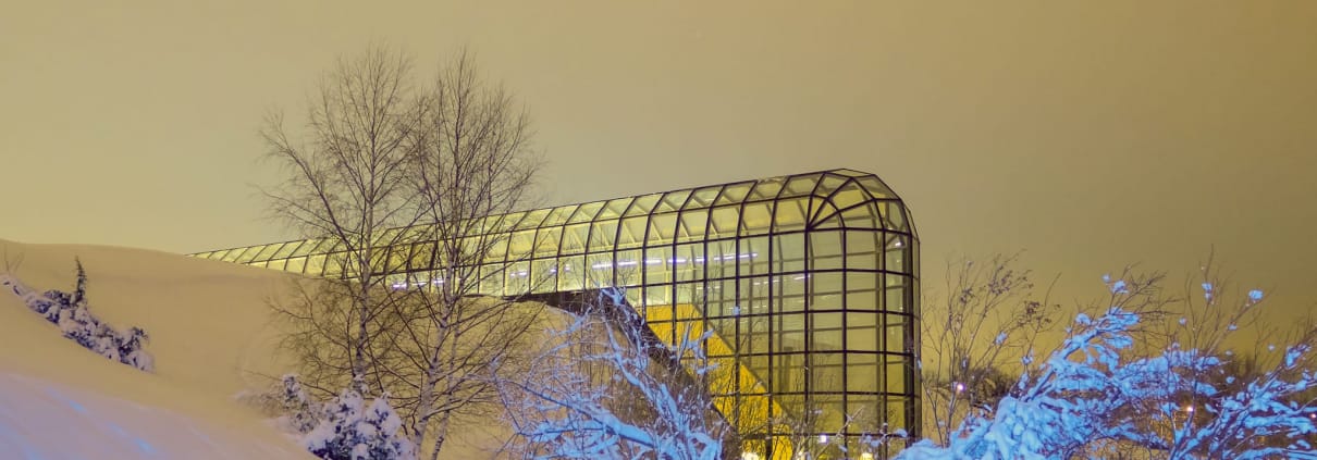 Arktikum Museo Rovaniemi Lapponia Inverno Aurora Boreale