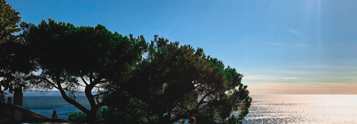 ocean conservation the beauty of trieste sea for future generations manuela valta