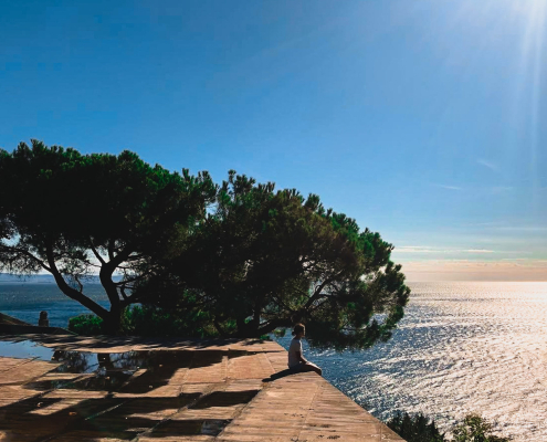 ocean conservation the beauty of trieste sea for future generations manuela valta