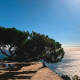 ocean conservation the beauty of trieste sea for future generations manuela valta