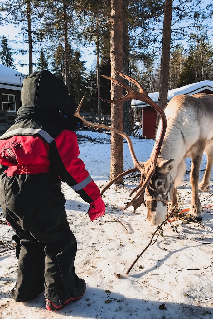 Viaggio Nord Rovaniemi Lapponia Finalndia Esperienza Artica Inverno Raitola Farm Tour Renne Bambini Famiglia