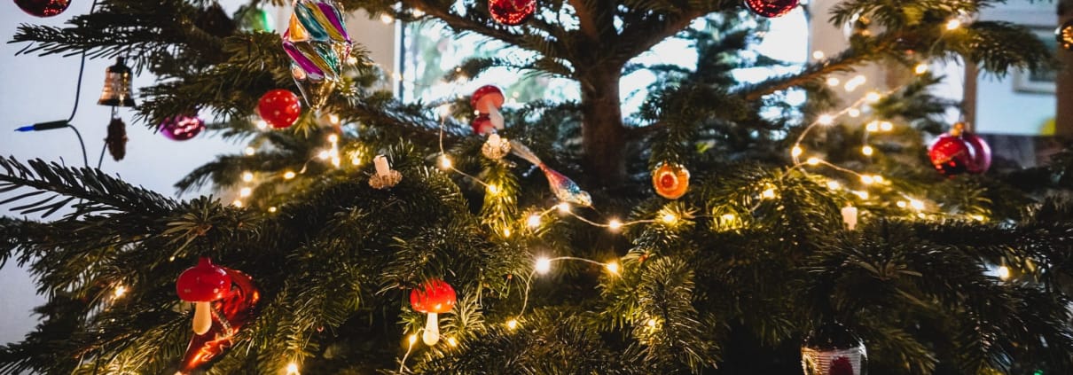 Buon Dicembre Albero Natale