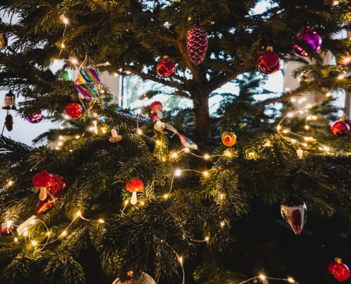 Buon Dicembre Albero Natale