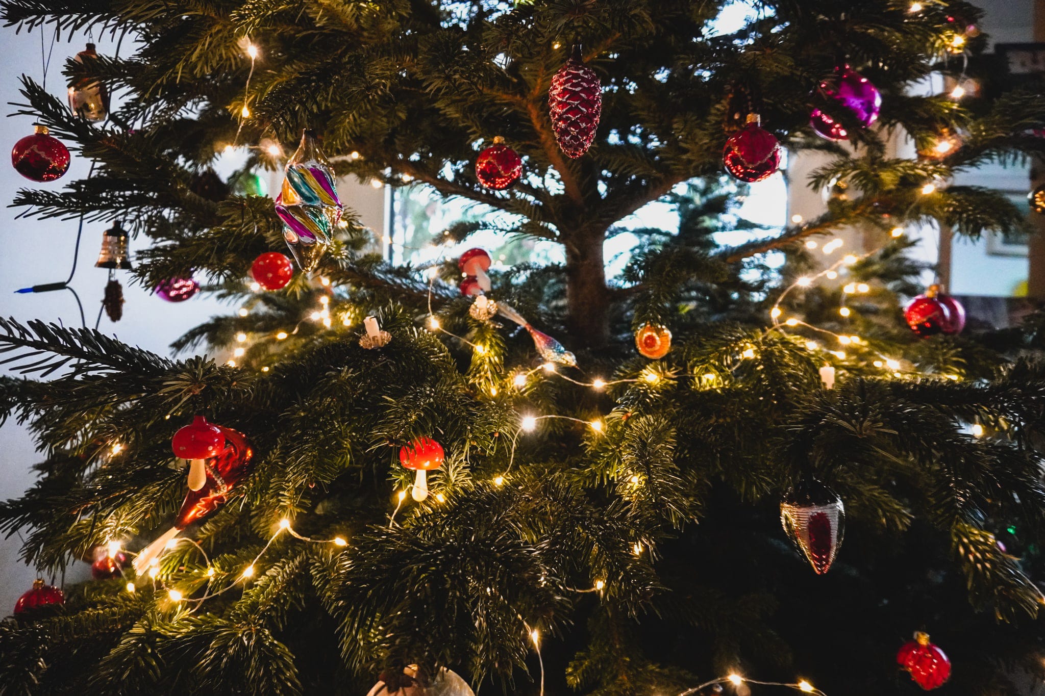 Buon Dicembre Albero Natale