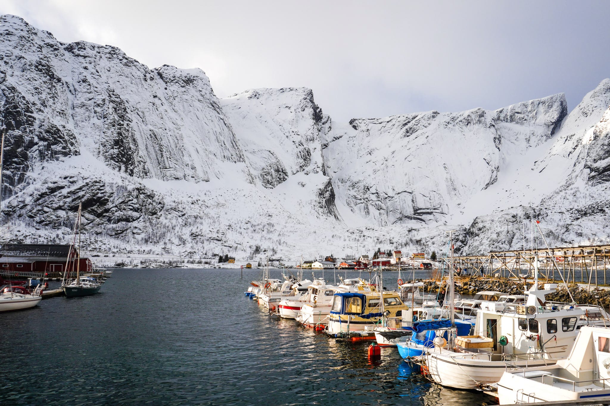 Viaggio Nord Lofoten Tromso Norvegia Esperienza Artica Reine Rorbuer Fiordo Montagna Inverno