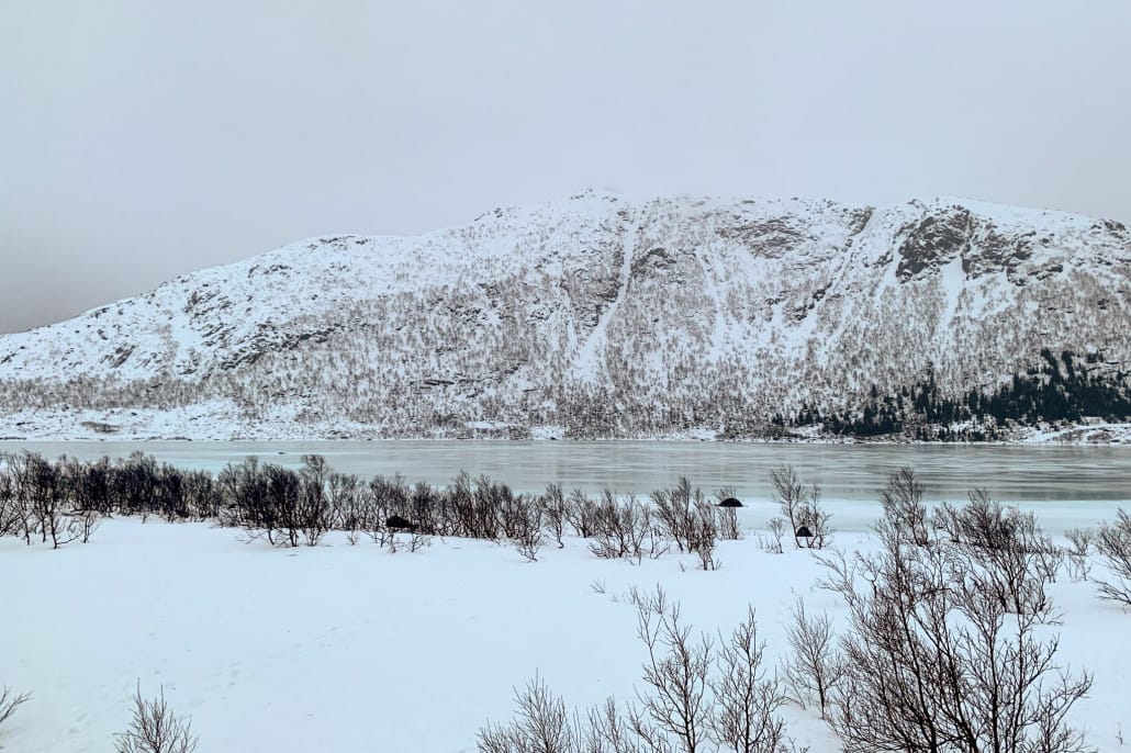 Viaggio Nord Lofoten Tromso Norvegia Esperienza Artica Lago Ghiacciato Inverno