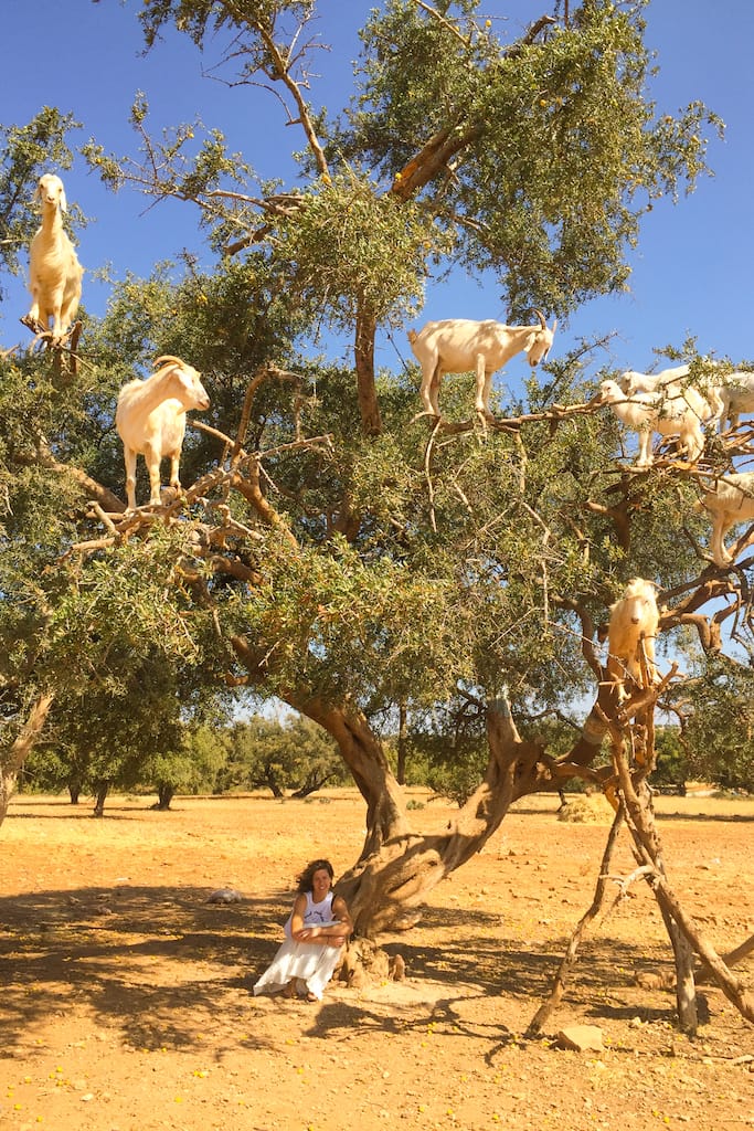 Coraggio Divertimento Armonia Mamma Marocco Viaggio Natura