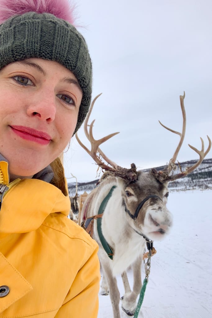 Passione Artico Tromso Giro Con Renne