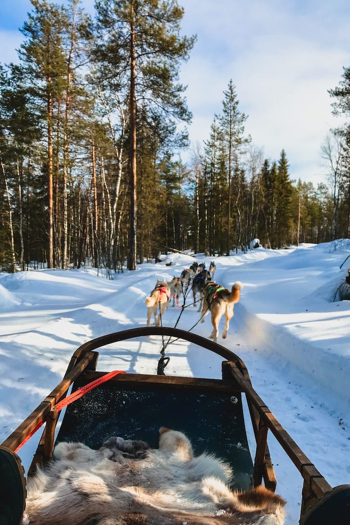 Passione Artico Villaggio Babbo Natale Giro Con Husky