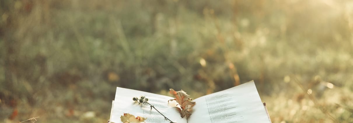 estate in poesia libro fiori romantico pensieri