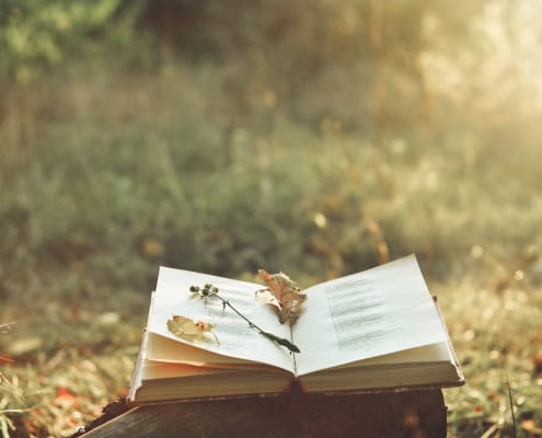 estate in poesia libro fiori romantico pensieri