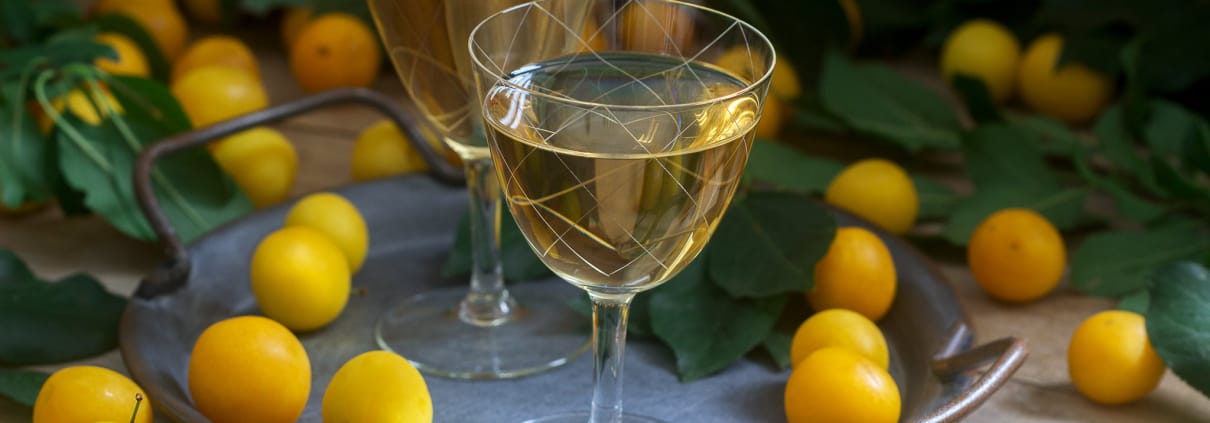 festa meta estate liquore vino allegria susine gialle foglie