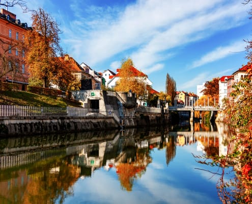 lubiana autunno foglie palazzo colori bellezza