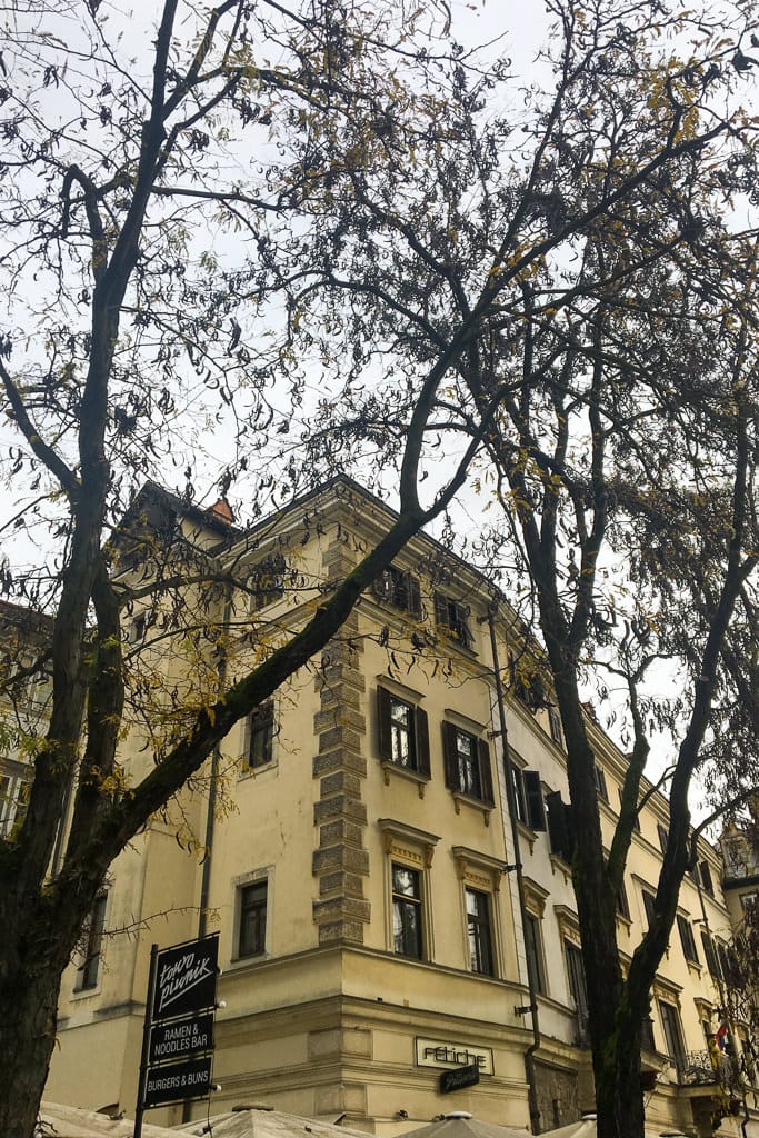 lubiana autunno foglie palazzo