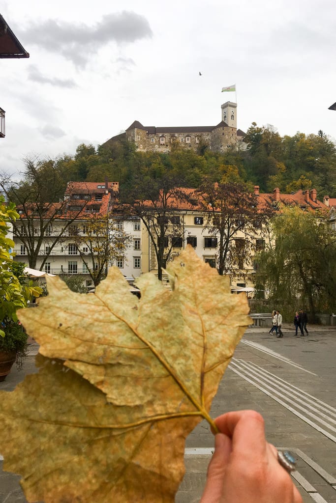 lubiana autunno foglie palazzo castello mano anello