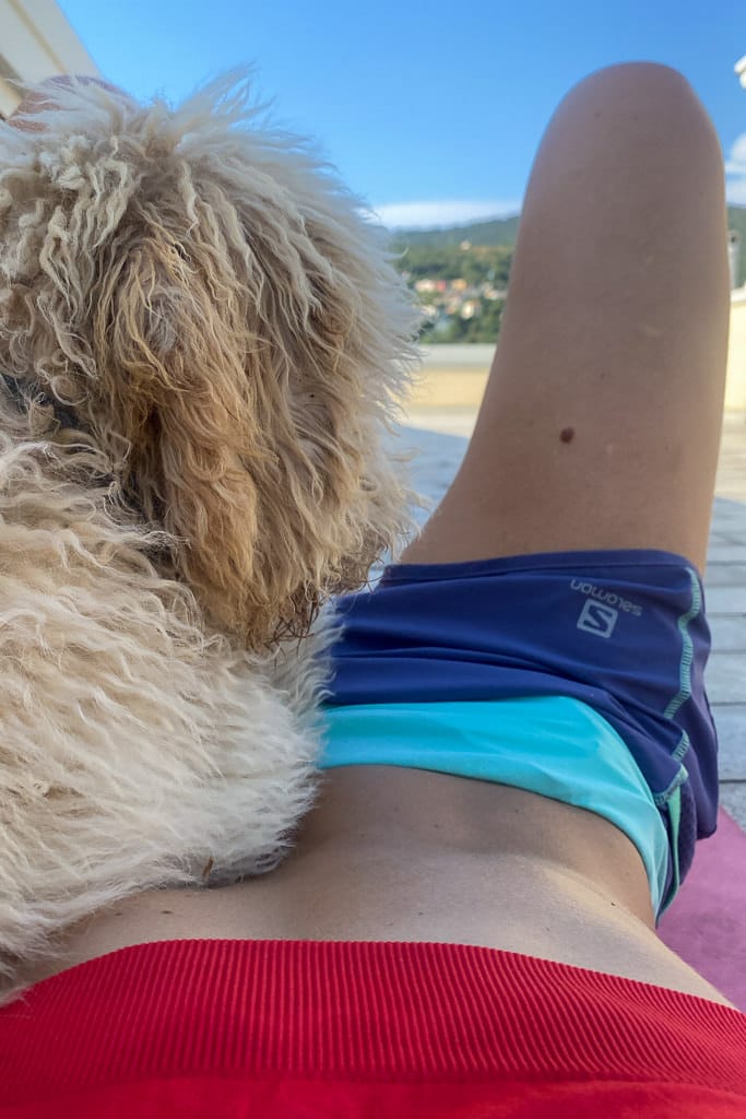 attivita figli ginnastica addominali esercizi cielo cane cucciolo lagotto donna fisico