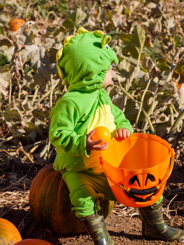 Halloween Modi Divertirsi Bambini Bambino Vestito Drago Zucca