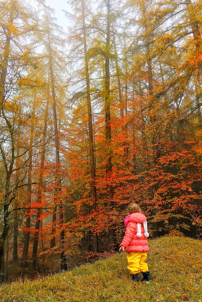 Luoghi Romantici Sereni Autunno Camminata Montagna Paesaggio Autunnale Alberi Arancioni Prato Verde Bambina Ammira