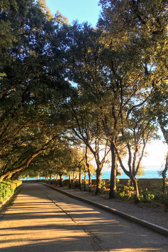 Luoghi Romantici Sereni Autunno Trieste Romantica Alberi Cielo Azzurro Corsa Mattutina Mare Azzurro Parco Castello Miramare