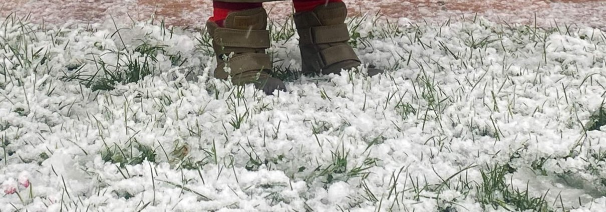 Stivaletti E Sneakers Invernali Bambino Ellis Bisgaard Nevicata Prato Innevato