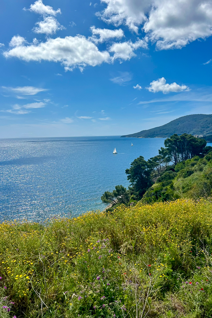 porto azzurro, isola d'elba, mare, vegetazione italia