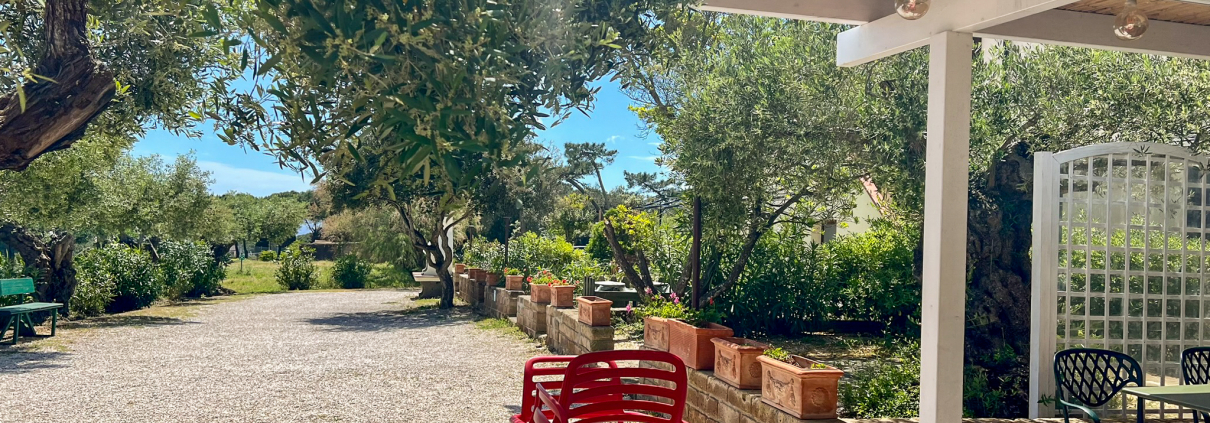 isola d'elba, cosa fare isola elba, tenuta delle ripalte, vini elba, ristoranti elba, escurisioni elba, miniere di capoliveri