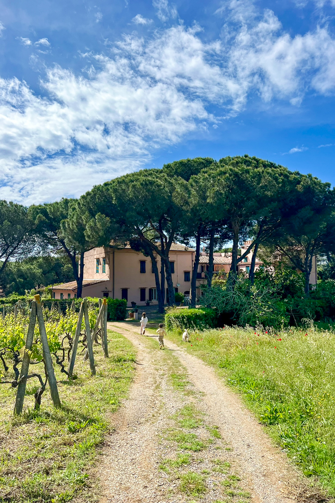 vacanza villa san giuseppe, dimore storiche italia, dormire isola elba, dormire bambini isola elba, isola d'elba