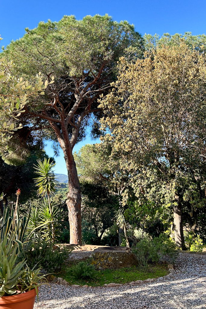 dormire isola elba, villa san giuseppe, vacanze san giuseppe, parco naturale, isola d'elba