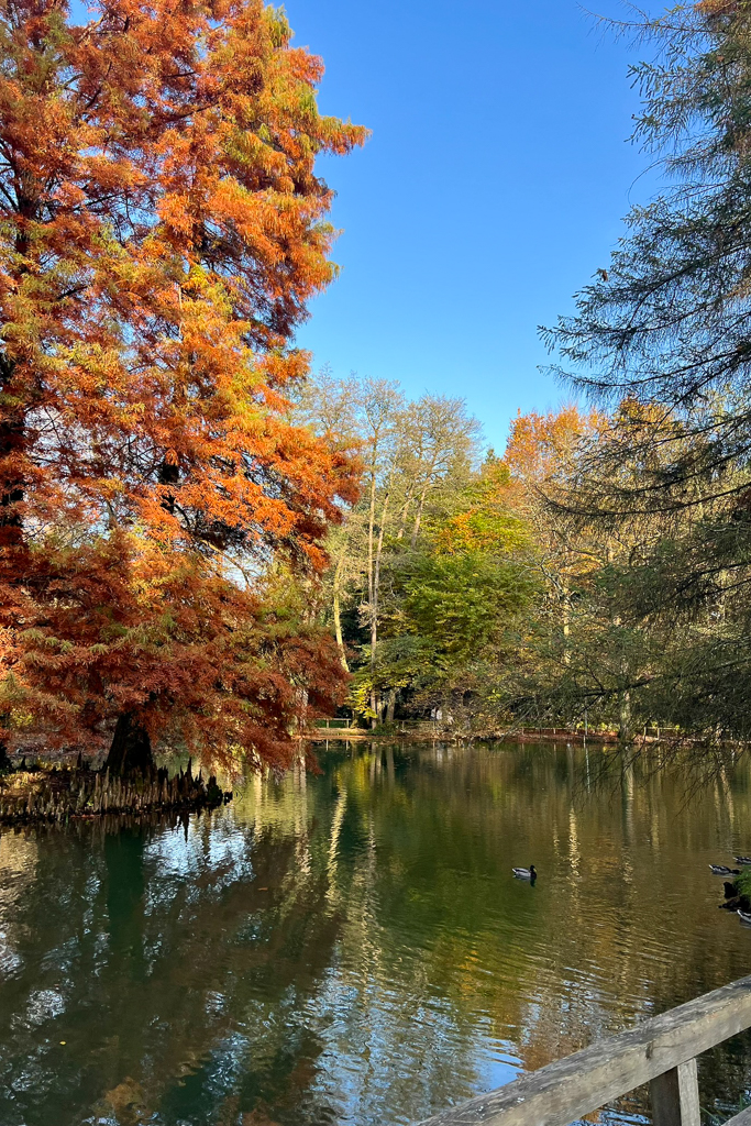 parco autunnale all'insegna della magia con uno stagno incantato
