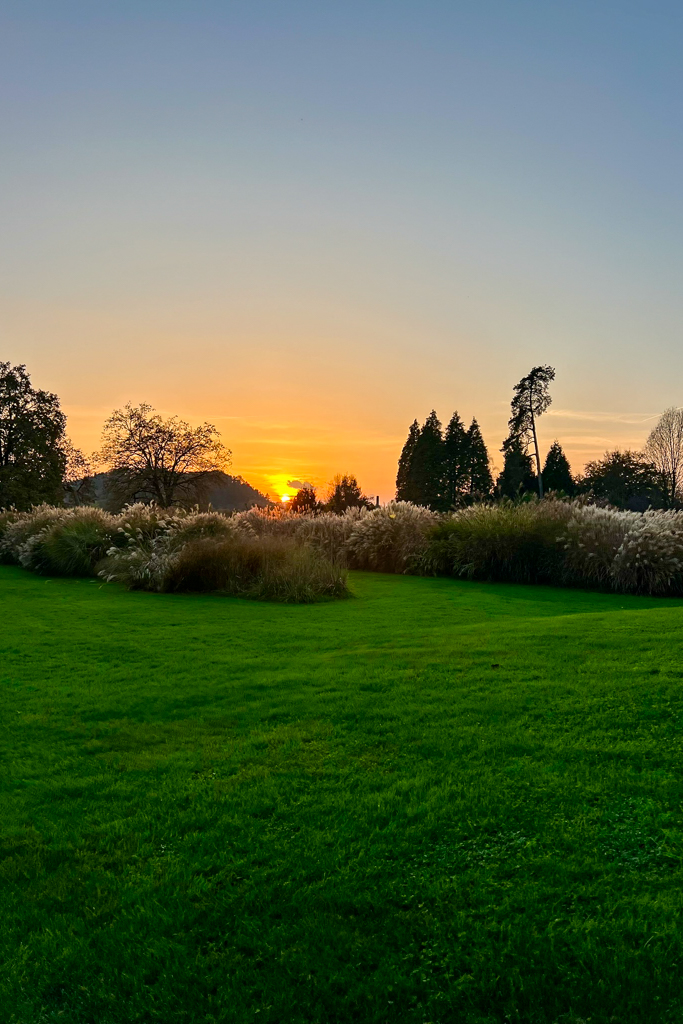 tramonto in uno dei parchi più belli con i colori dell'autunno, prati verdi e piante floreali