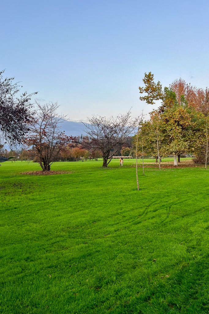 bambini in un bellissimo parco in autunno per halloween vicino a lubiana e a trieste