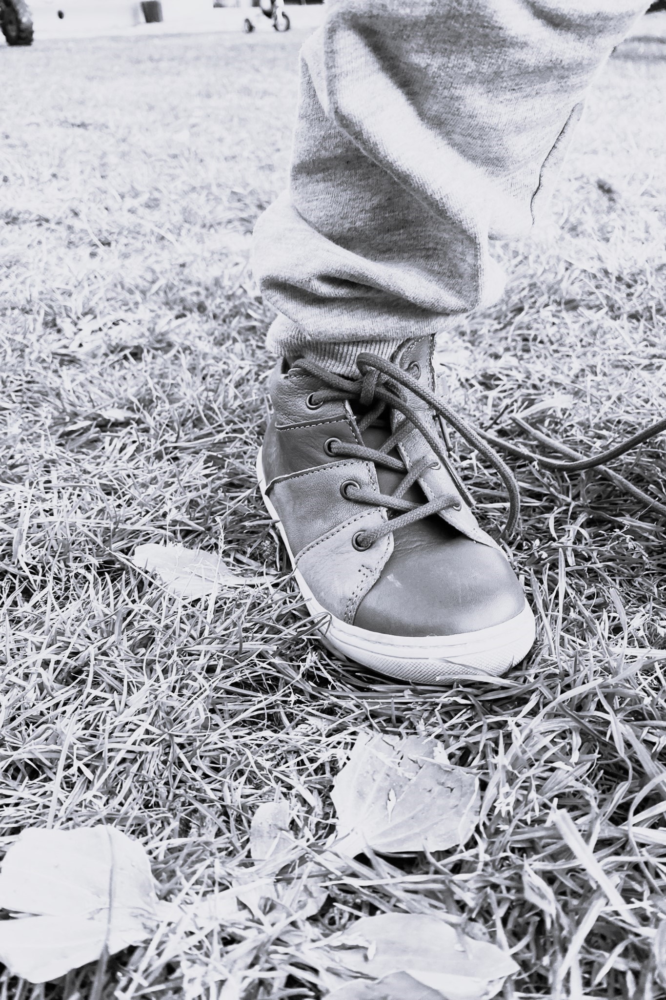 sneakers bambino scarpe bisgaard